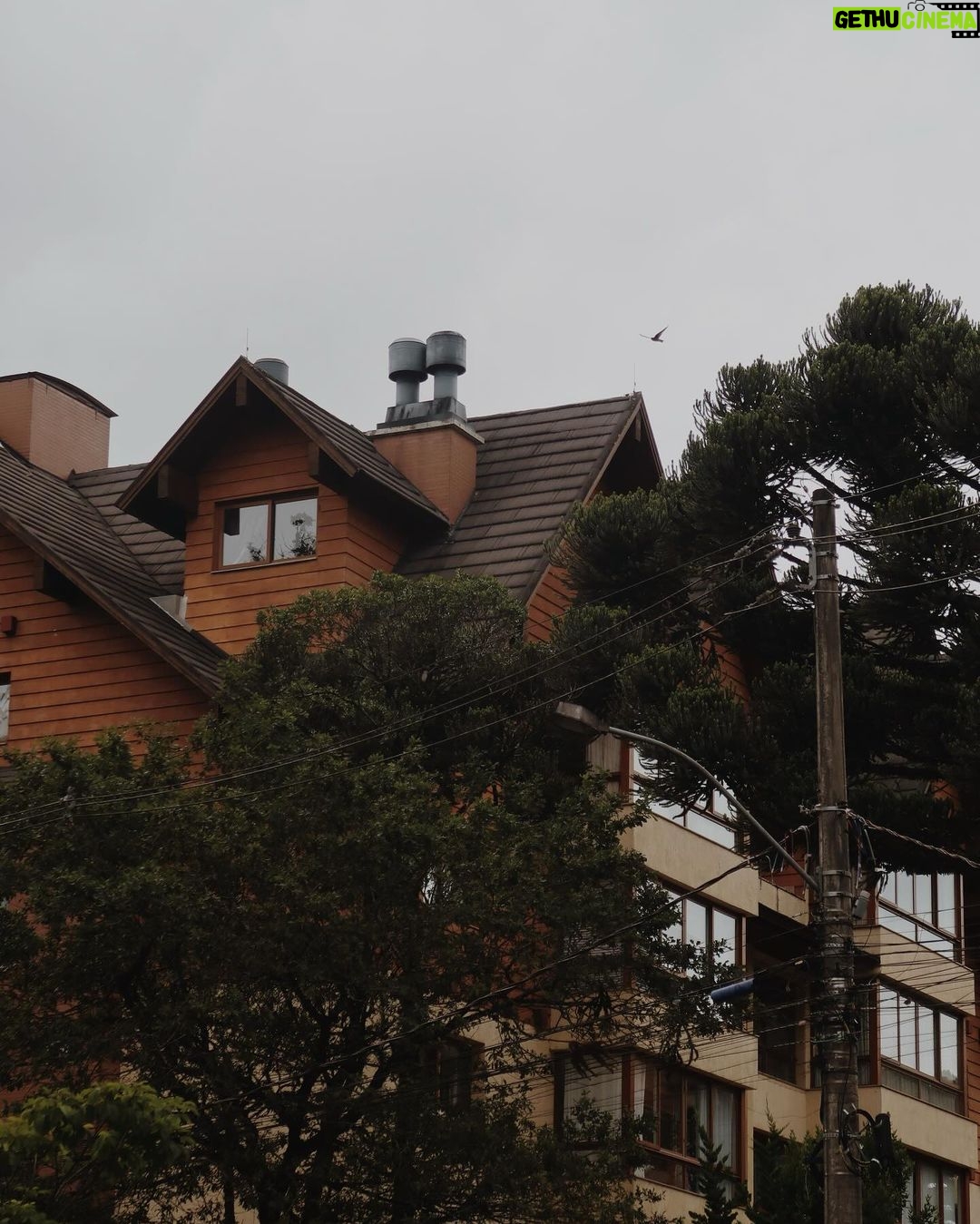 Bia Jordão Instagram - shades of green 🧃 Gramado