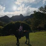 Bia Jordão Instagram – salmos dezenove.