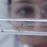 Bill Gates Instagram - There’s a surprising new weapon in the fight against deadly diseases like malaria and dengue fever: Perfume. @dsmfirmenich is exploring how fragrances engineered to repel mosquitoes can protect vulnerable populations and save lives.