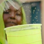 Bill Gates Instagram - Mosquitoes and the diseases they carry kill more people in a single day than sharks kill in 100 years. We’ve made some great progress in the fight against mosquito-borne illnesses, but there’s still a lot of work to do. So this week, I’m sharing stories about the people and innovations fighting this battle on the frontlines.