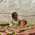 Bill Gates Instagram - Clare Mukankusi is working to make beans more nutritious and easier to grow. Her work will benefit millions of Ugandans.