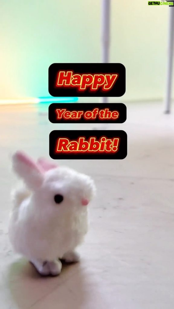 Bill Gates Instagram - Wishing everyone a happy Year of the Rabbit.
