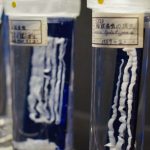 Bill Gates Instagram – Looking for a scare today? Look no further than this creepy tale of my visit to a parasite museum in Tokyo.