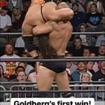 Bill Goldberg Instagram – And like that, @goldberg95’s legendary win streak (173-0) was born! 🤩 

#Goldberg #Goldberg25 #WWEonSonyIndia