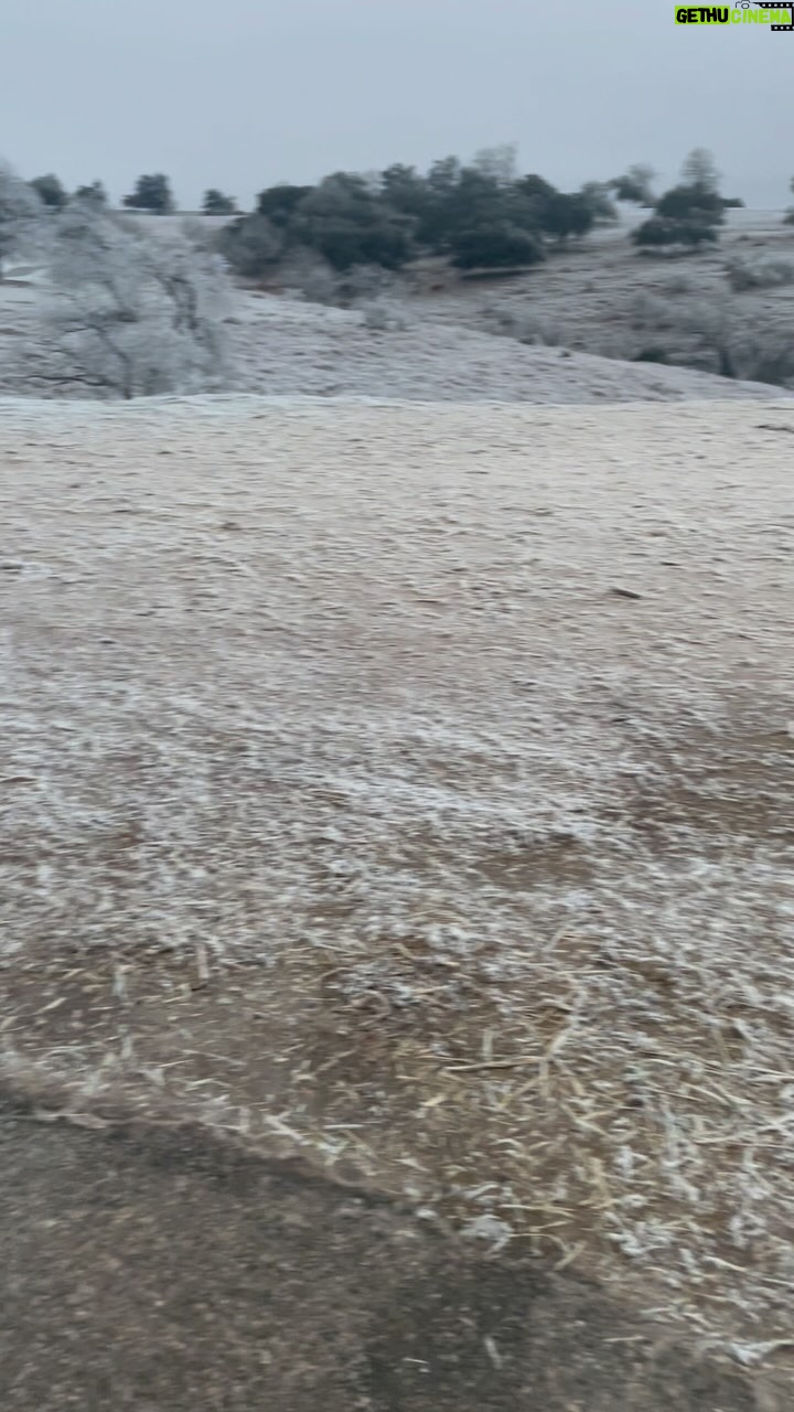 Bill Goldberg Instagram - Well, I suppose on the bright side this preps for the weather in Boulder……❄️🥶 #gobuffs @cubuffsfootball #whatsnext @goldberg21_99