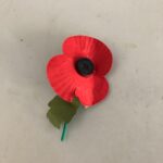 Bill Nye Instagram - Paper Poppies commemorate the veterans of World War 1. My grandfather survived it, and here I am. I cannot help but think of him and his comrades and be thankful for every day of freedom.