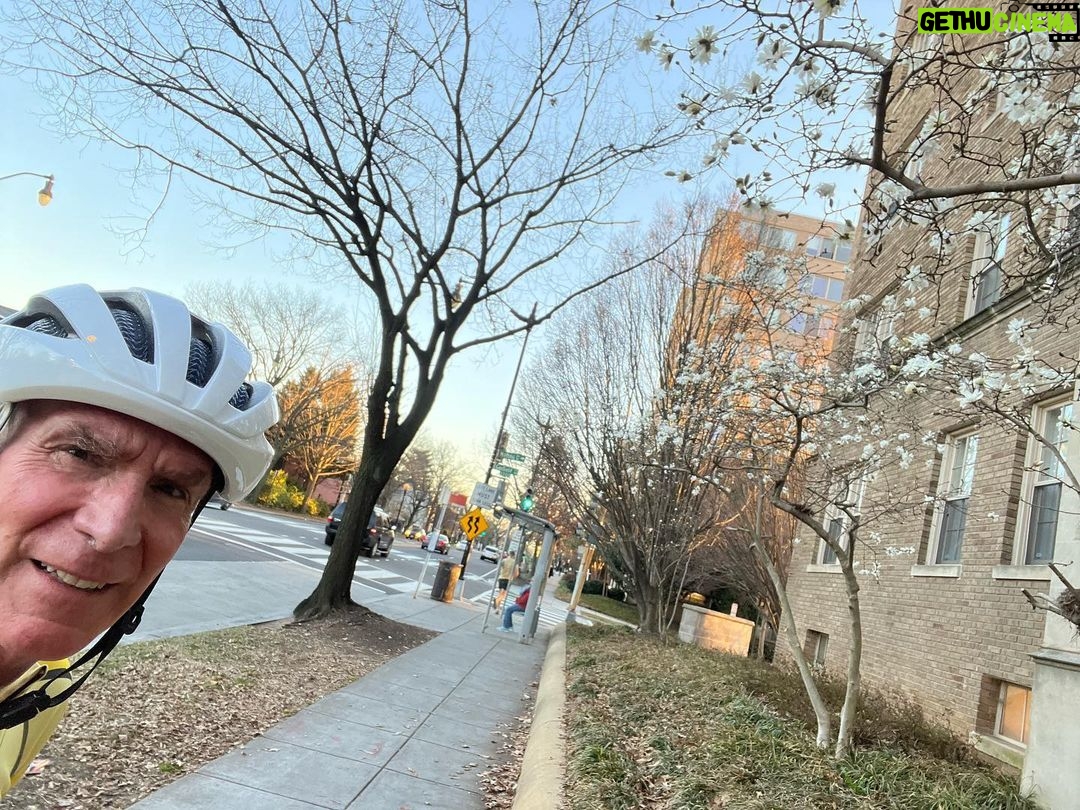 Bill Nye Instagram - Indicator Blossoms, foreground. Winter branches, background.