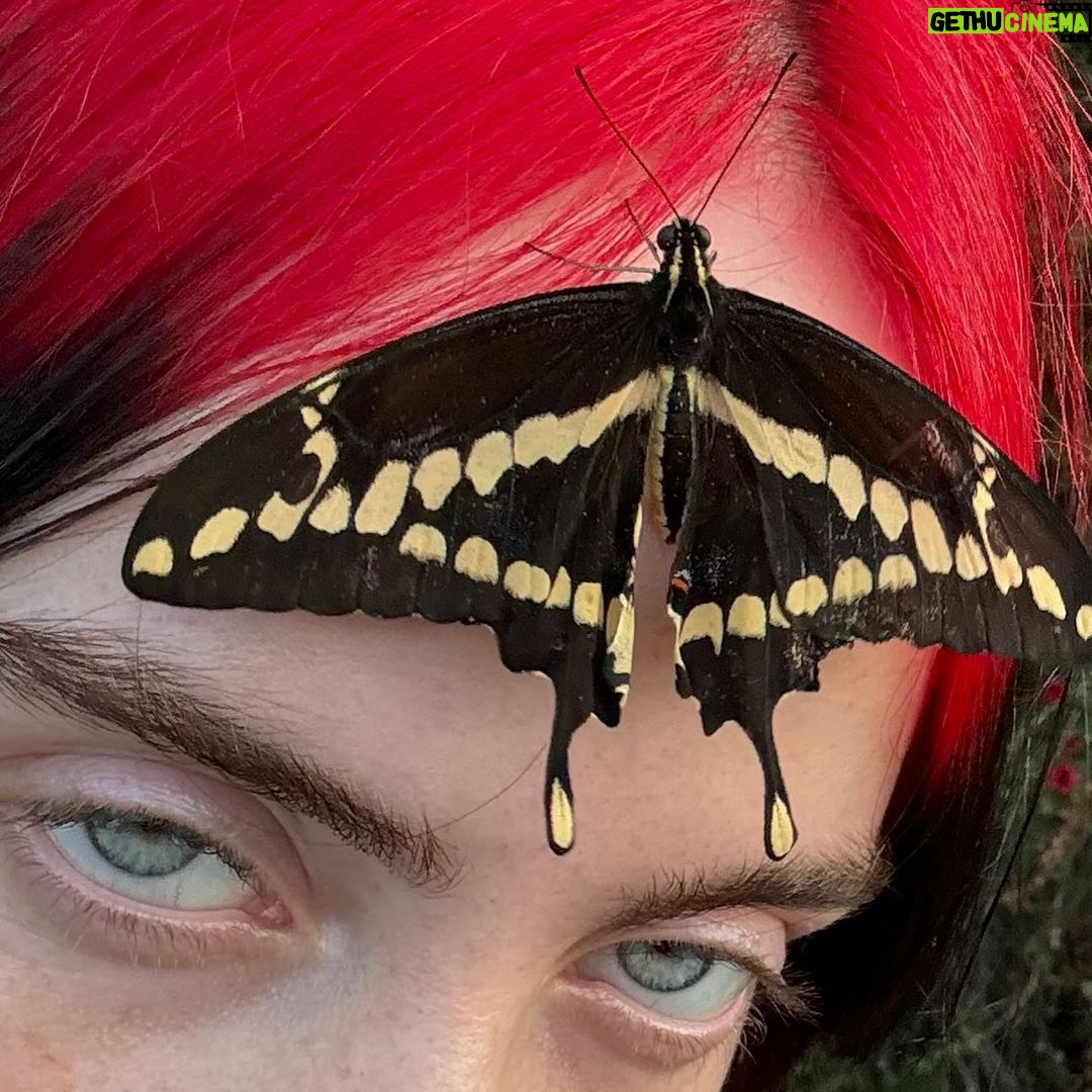 Billie Eilish Instagram - stuff from my phone