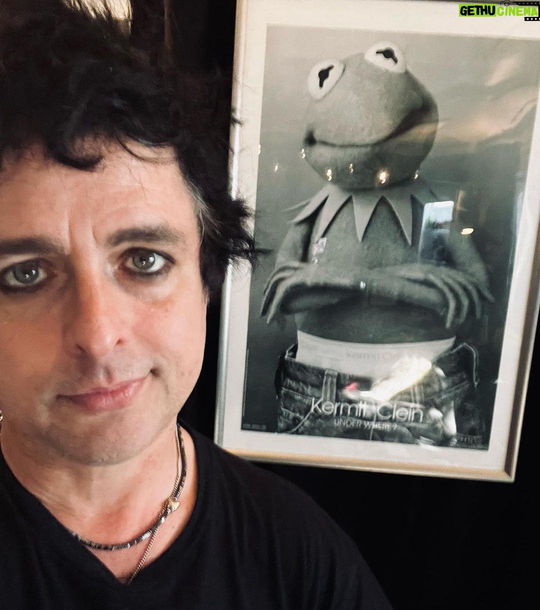 Billie Joe Armstrong - 154.7K Likes - Me and #kermit