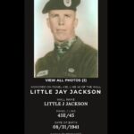 Billie Joe Armstrong Instagram - I was reluctant about sharing this post because it’s heart breaking. This is my uncle Little Jay Jackson. My mom’s youngest brother and the youngest of her 12 siblings. He was in the army. A green beret I believe.. He died in action in the vietnam war sometime around the Tet offensive. He served with honor and that’s something I can respect. I never met him but by all accounts he was a great brother and loving father. And a great young athlete. He was pretty close in age to my brother Alan who had the one relationship with him out of all my brothers and sisters. I just watched the Ken Burns documentary on Vietnam which is an amazing documentary. I highly recommend it. It made me curious to look him up. His name up is on the Vietnam Veterans Memorial wall of names. Someday I want to check it out. War is terrifying. I have memories of my aunts and uncles talking about him pretty openly .. I love this photo of him feeding a baby deer. His name really is Little Jay Jackson by the way