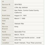 Billie Joe Armstrong Instagram - I was reluctant about sharing this post because it’s heart breaking. This is my uncle Little Jay Jackson. My mom’s youngest brother and the youngest of her 12 siblings. He was in the army. A green beret I believe.. He died in action in the vietnam war sometime around the Tet offensive. He served with honor and that’s something I can respect. I never met him but by all accounts he was a great brother and loving father. And a great young athlete. He was pretty close in age to my brother Alan who had the one relationship with him out of all my brothers and sisters. I just watched the Ken Burns documentary on Vietnam which is an amazing documentary. I highly recommend it. It made me curious to look him up. His name up is on the Vietnam Veterans Memorial wall of names. Someday I want to check it out. War is terrifying. I have memories of my aunts and uncles talking about him pretty openly .. I love this photo of him feeding a baby deer. His name really is Little Jay Jackson by the way