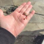 Billie Joe Armstrong Instagram - Hello lady bug 🐞❤️