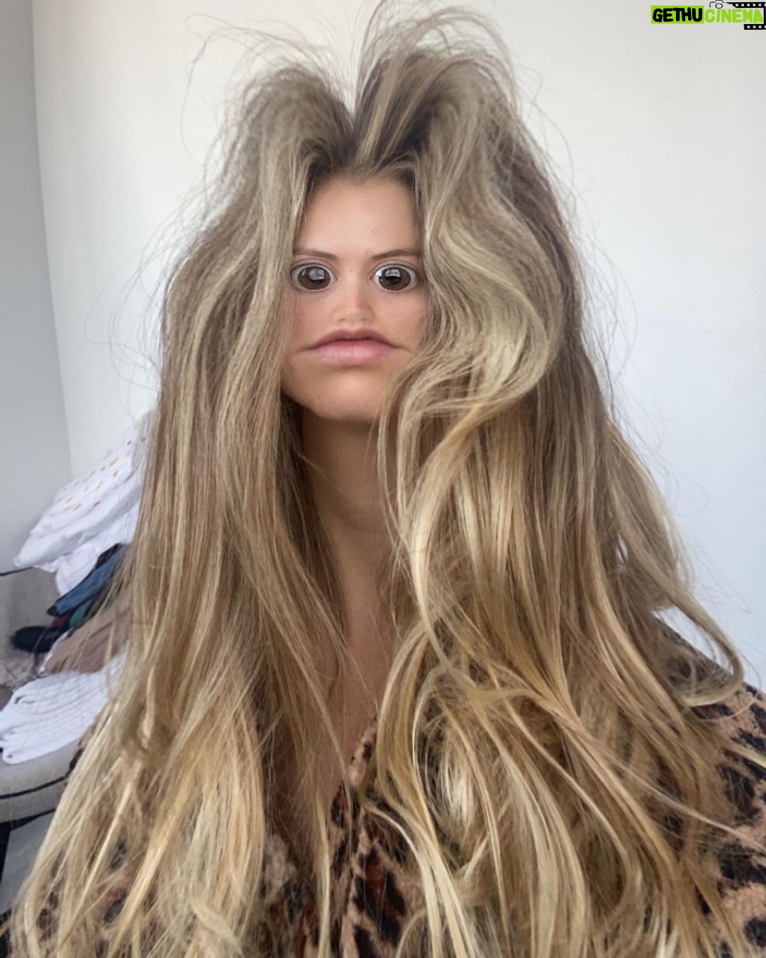 Billie Lourd Instagram - ππΌπππΌ10/10 would not recommend #australianquarantine