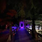 Billie Lourd Instagram – ❤️🤍💙#momanddad #takethelake #doinbruin Fish Tale Grill – Lake Bruin Lodge & Store