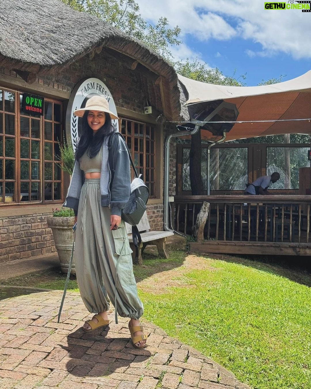 Bindu Madhavi Instagram - The roar of a lion, the call of the wild, an adventure am struggling to write how I felt in the moment. Walking on the wild side of life❤️ #southafrica #safari #angryelephant Kruger National Park