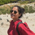 Bindu Madhavi Instagram - The roar of a lion, the call of the wild, an adventure am struggling to write how I felt in the moment. Walking on the wild side of life❤️ #southafrica #safari #angryelephant Kruger National Park