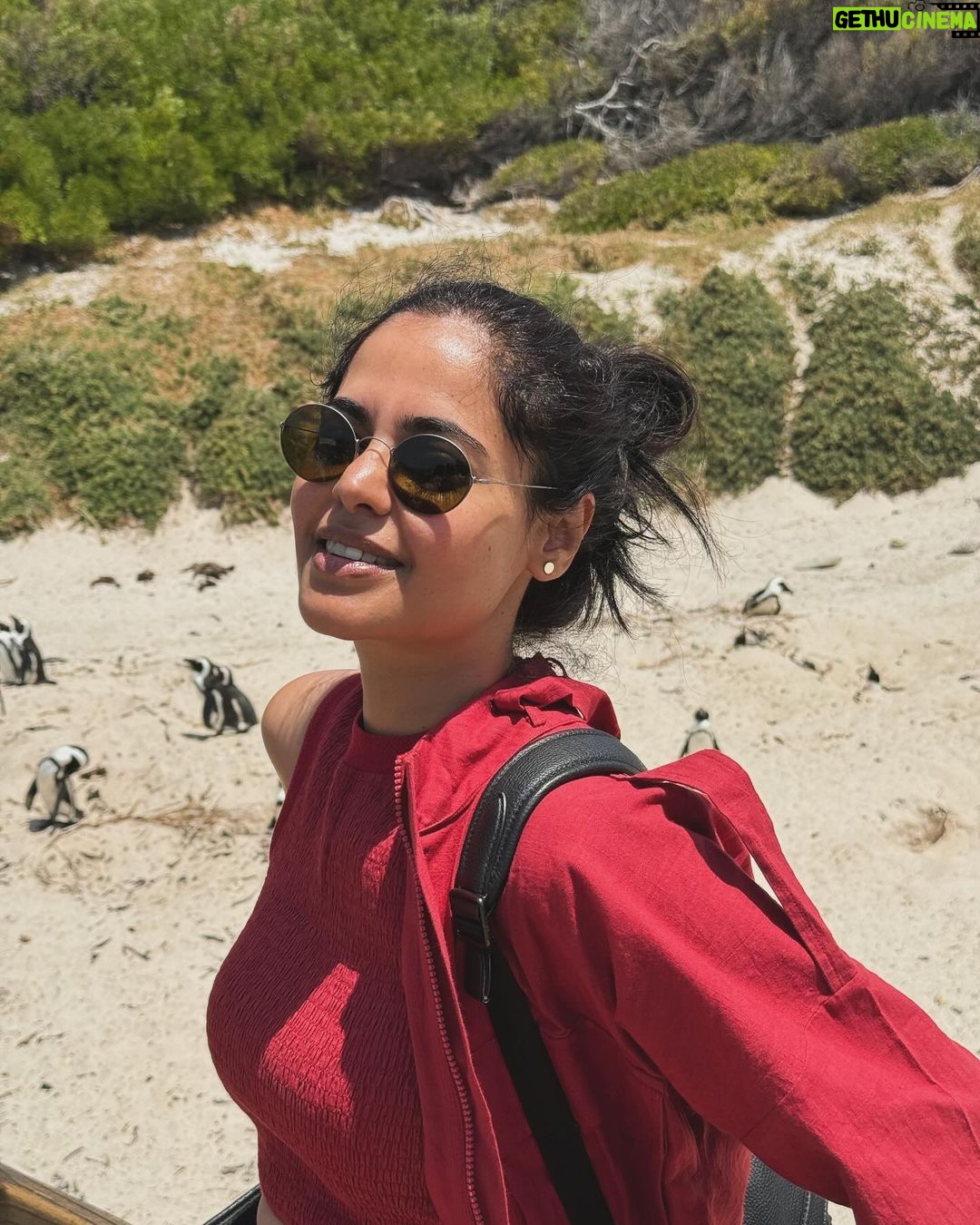 Bindu Madhavi Instagram - The roar of a lion, the call of the wild, an adventure am struggling to write how I felt in the moment. Walking on the wild side of life❤️ #southafrica #safari #angryelephant Kruger National Park
