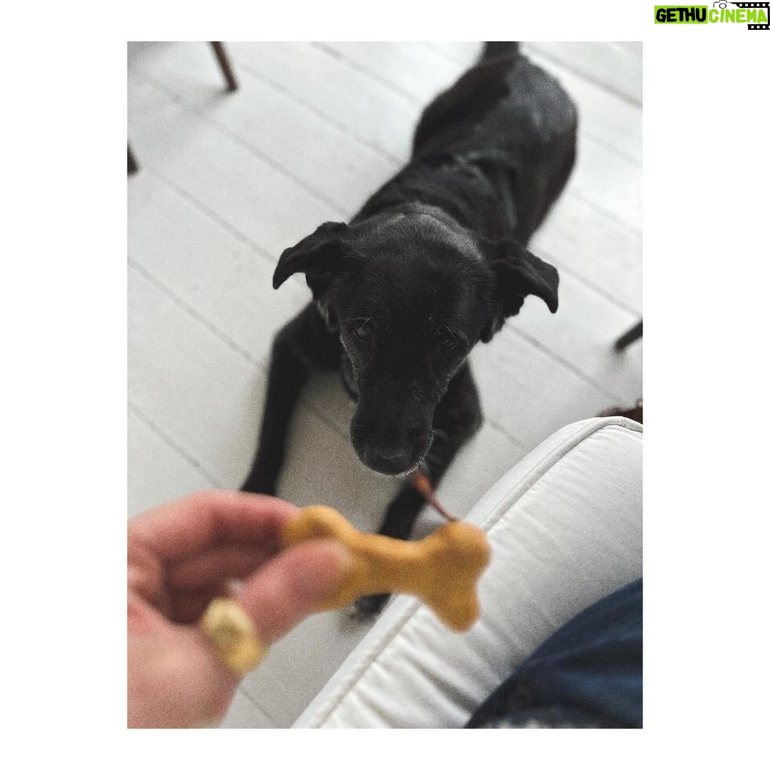 Birce Akalay Instagram - ______ a weekend dump. She was born in my hand, but now I am proudly watching my 10-year-old butterfly Zet flying on the water with my eyes full of tears and I am thankful that we are still a very strong family for years.. Love you all! • I get together max one or two friends per a week and apart from that, I usually try to spend my time listening to music for my soluish journey and reading and writing sessions for remembering my expressionist literature musscles again. • And one of the best thing i do is to watch the plays of my dear friends that I haven’t seen yet. • and yes i love my ballet flats & try to walk against a strong southwester so much 🌊🖤 • • • have a nice week.