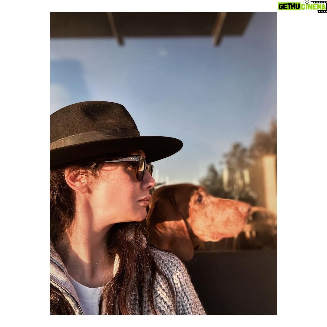 Birce Akalay Instagram - ______ That book is finished my dear friend. You have once again charmed and healed me with your surprise rooms of your soul.. I'll be eternally grateful. ..The London Blue Butterfly saluted the snakes in the mirror, flew out of the cocoon again and never forgot her loved ones.. @dilarakarabay 🪐 Simurg Inn