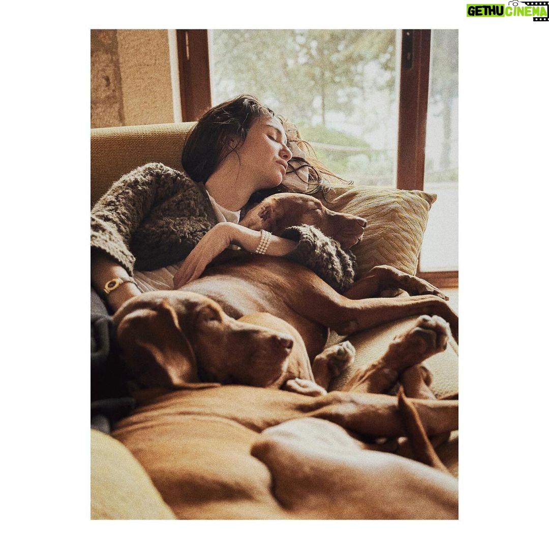 Birce Akalay Instagram - ________ She started the new one with excessive dog love, good friends, great food specially desert and plenty of sleep.