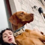 Birce Akalay Instagram - _______a short selfie tour. 🎪🎠🤹🏻‍♀️ I was cleaning out my drawer the other morning and found a pair of ears. :)