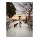 Birce Akalay Instagram - ______ That book is finished my dear friend. You have once again charmed and healed me with your surprise rooms of your soul.. I'll be eternally grateful. ..The London Blue Butterfly saluted the snakes in the mirror, flew out of the cocoon again and never forgot her loved ones.. @dilarakarabay 🪐 Simurg Inn