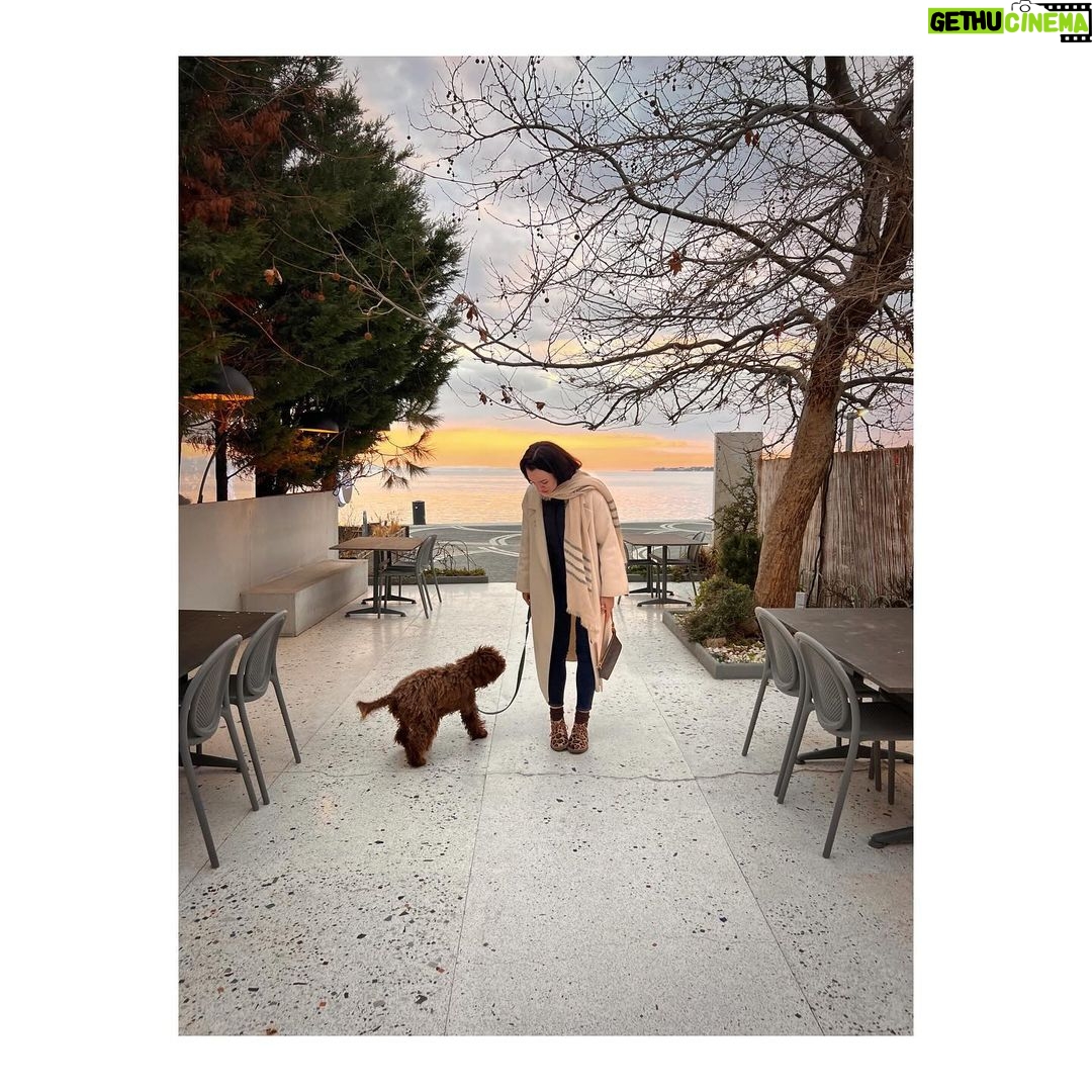 Birce Akalay Instagram - ______ That book is finished my dear friend. You have once again charmed and healed me with your surprise rooms of your soul.. I'll be eternally grateful. ..The London Blue Butterfly saluted the snakes in the mirror, flew out of the cocoon again and never forgot her loved ones.. @dilarakarabay 🪐 Simurg Inn