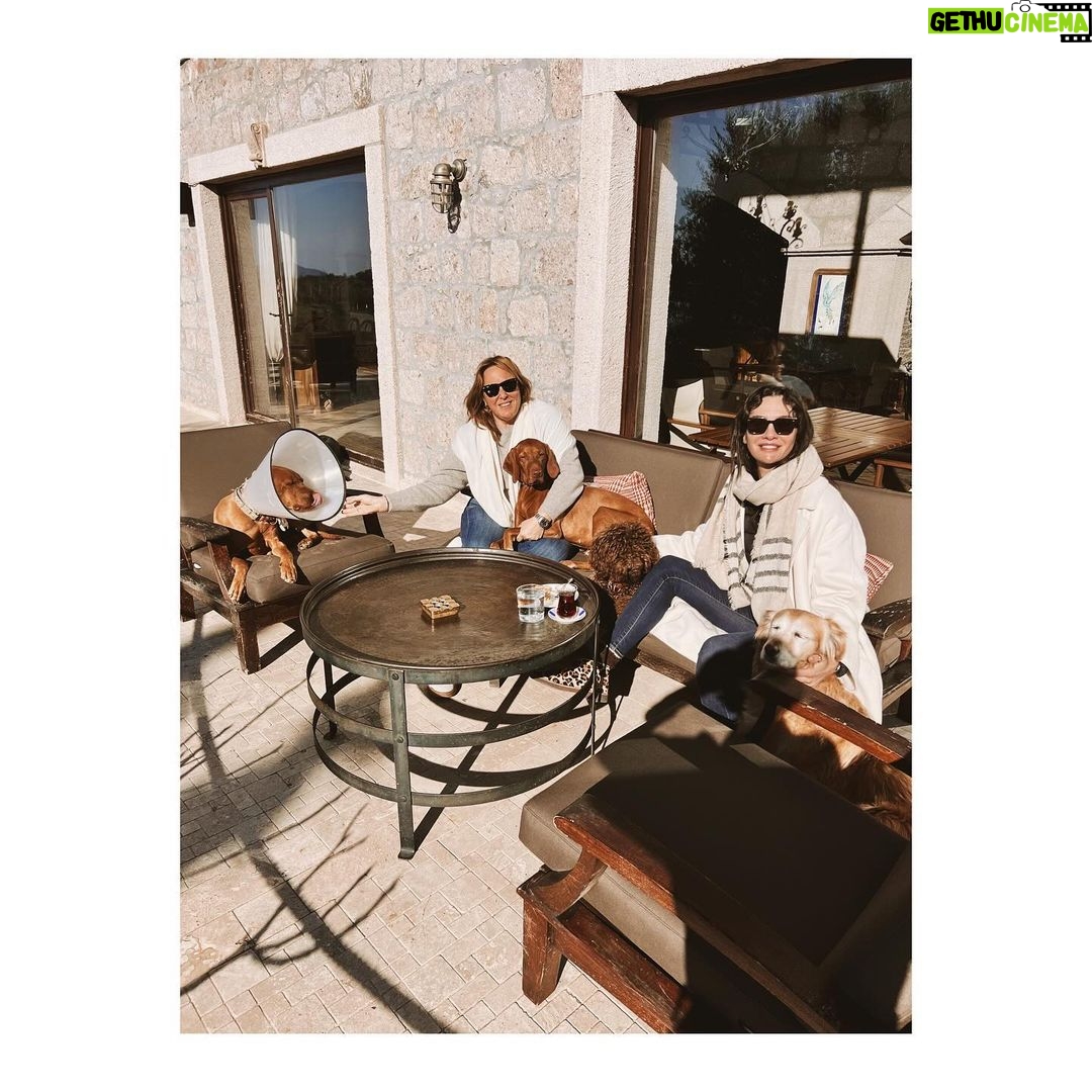 Birce Akalay Instagram - ______ That book is finished my dear friend. You have once again charmed and healed me with your surprise rooms of your soul.. I'll be eternally grateful. ..The London Blue Butterfly saluted the snakes in the mirror, flew out of the cocoon again and never forgot her loved ones.. @dilarakarabay 🪐 Simurg Inn