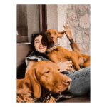 Birce Akalay Instagram - ________ She started the new one with excessive dog love, good friends, great food specially desert and plenty of sleep.