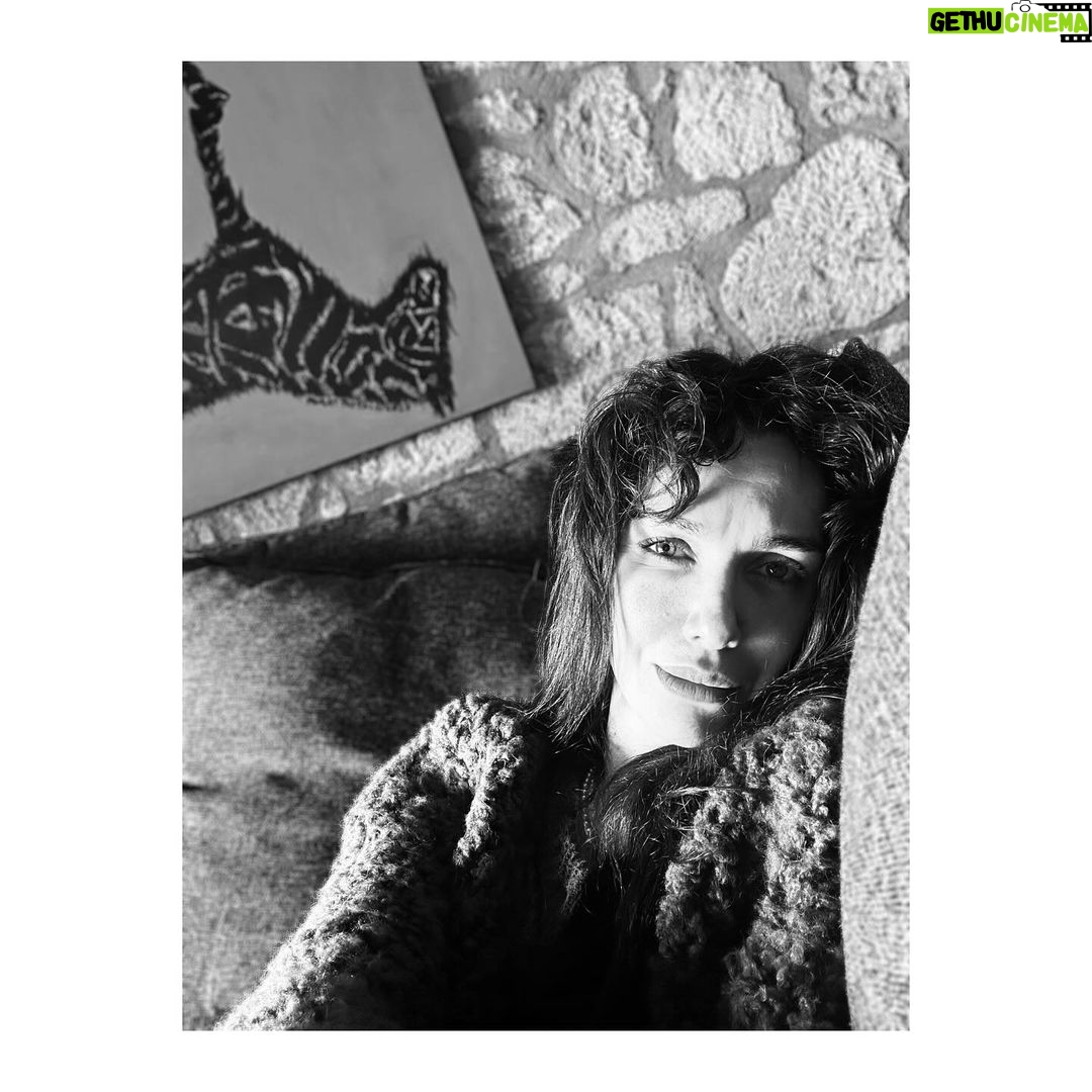Birce Akalay Instagram - ________ She started the new one with excessive dog love, good friends, great food specially desert and plenty of sleep.