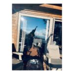 Birce Akalay Instagram - ________ She started the new one with excessive dog love, good friends, great food specially desert and plenty of sleep.