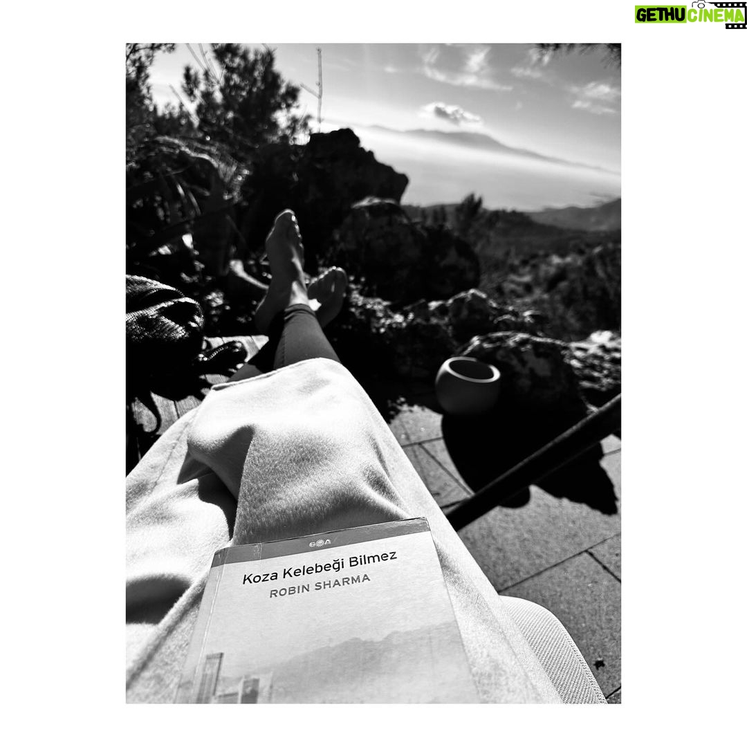 Birce Akalay Instagram - ________ She started the new one with excessive dog love, good friends, great food specially desert and plenty of sleep.