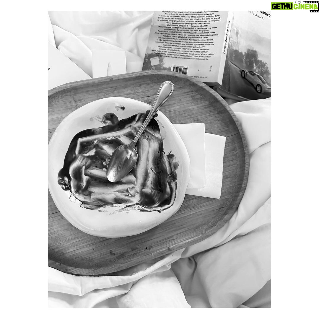 Birce Akalay Instagram - ________ She started the new one with excessive dog love, good friends, great food specially desert and plenty of sleep.