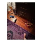 Birce Akalay Instagram - _____ladies first dump. 🥜🧜🏻‍♀️🪭 Üzerimdeki Mini Mouse’tan Mini Ada, son sayfadaki esintiden Annie Ernaux sorumlu. ••• Bu arada Pazar günleri Kadıköy’de kurulan antika pazarına henüz gitmediyseniz gidin. Esnaf bizi çağırıyor. ••• and let me introduce you my baby boy Joey. welcome home honey bunny. 🪐 Istanbul, Turkey