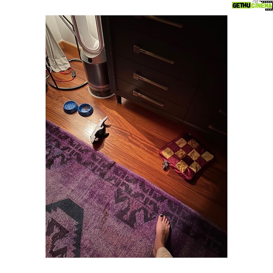 Birce Akalay Instagram - _____ladies first dump. 🥜🧜🏻♀️🪭 Üzerimdeki Mini Mouse’tan Mini Ada, son sayfadaki esintiden Annie Ernaux sorumlu. ••• Bu arada Pazar günleri Kadıköy’de kurulan antika pazarına henüz gitmediyseniz gidin. Esnaf bizi çağırıyor. ••• and let me introduce you my baby boy Joey. welcome home honey bunny. 🪐 Istanbul, Turkey