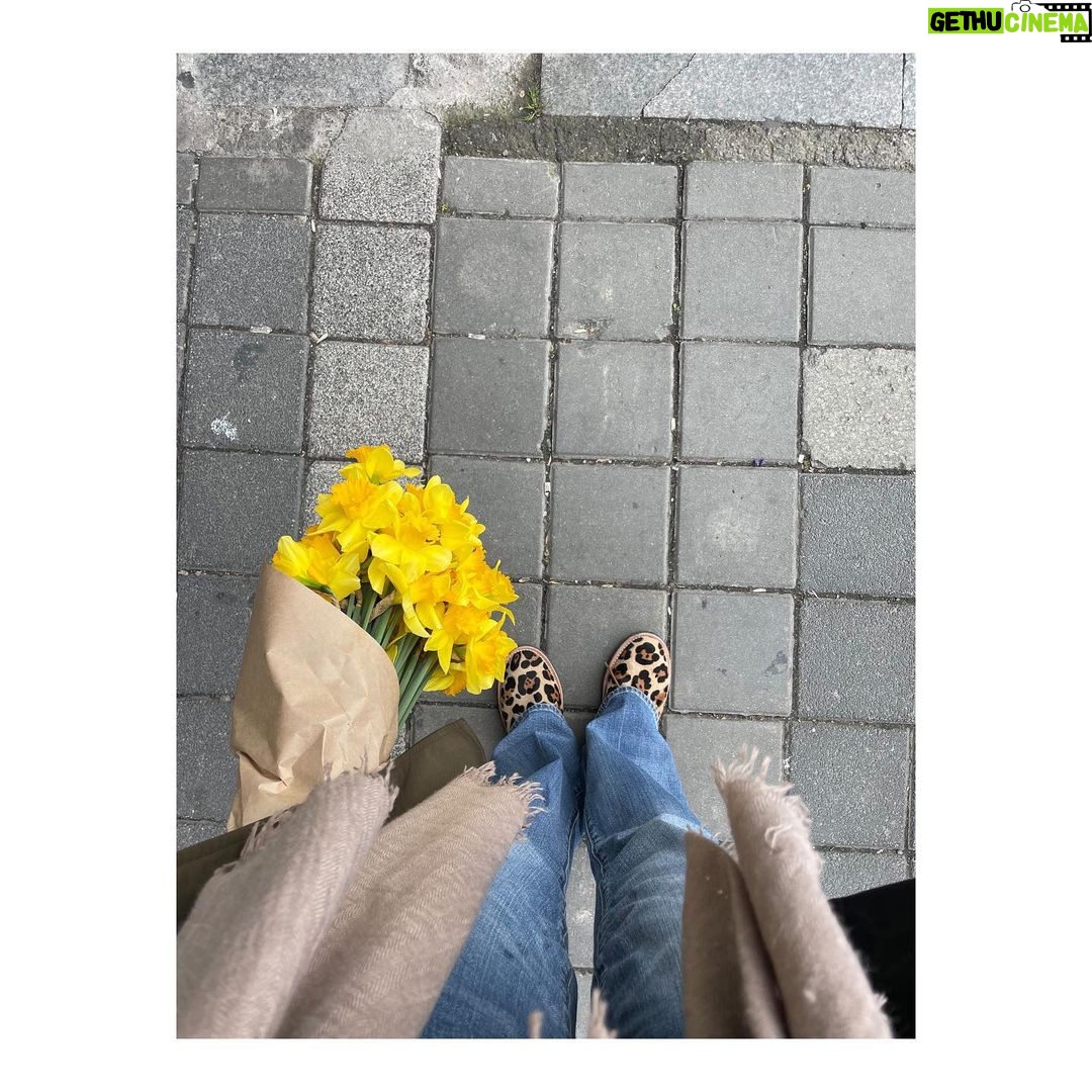 Birce Akalay Instagram - It’s all in vain “Whereever you look, you see vanity. Whatever is built today, is dismamtled each morning. Where there are cities, there will be meadows. Upon which the sheperd’s child will play amongst the herd. Whatever blossoms, will soon be tread upon. Whatever has a pulse,by morning is ash and bone. Nothing lasts forever, not ore, not marble. Smile now, for hardship soon awaits. Good deeds and renown will vanish like a deam. Will humanity stand the test of time? Oh how we have such high regard for it all. The void is but a shadow, dust in the wind. Like a flower in a meadow you’ll never find again. And still, no one desires to contemplate what is eternal.” King Klaus Hedonistic Saviour - Live your Desires! But how? @artefr