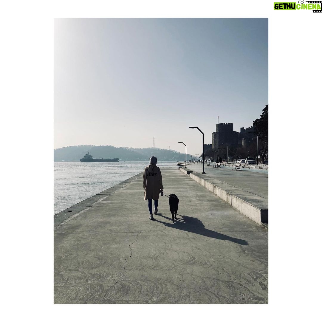 Birce Akalay Instagram - Kalbimdeki sofra çok kalabalık bu akşam. Canım ailem, dostlarım, sevdiklerim, bana dokunmuş ya da yaşama süresi bitmiş, iyi ve kötü, hayatımda iz bırakmış herkese teşekkür ediyorum. Hep birlikte olmayınca, yalnız geçirmeyi tercih ediyorum yeni yıl akşamlarını. Hal böyle olunca içimdeki güzel kalabalıkla mutlu oluyorum. ••• Hayat bana cömert ve güzel davrandı bir çok konuda, o yüzden sonsuz bir şükür ve vefa isteğiyle doluyum ben. Sizi bilmem. :) İyi ki yaşadık beraber. Hepinizi buralara fotoğrafla sığrdırmam mümkün değil o yüzden içimde bir huzurlu melodi olduğunuzu yazmak istedim. ••• Geride bıraktığımız zamanda bilmeden kırdıklarım, üzdüklerim olduysa da beni affedin rica ederim.Kimsenin kimseyi üzmeye kırmaya hakkı yok bu hayatta. Özür dilerim. ••• Kalbimi derinden kırmışlardan ise uzaklaştım bu geçmişte kalan yılda,onlar kendilerini bilirler.Çünkü artık inceliklerden yoksun düşüncelerin sohbetinde varlık gösteremiyorum, her defasında üzülmektense başka bir patikada yürümeyi tercih ediyorum.Sizi de sevmeye devam ediyorum ama beni anlayın rica ederim. ••• Kalbinize ve sevdiklerinize iyi bakın.. Her anlamda daha güzel bir yıl olsun dilerim. Arrivederci ‘22 ♻️