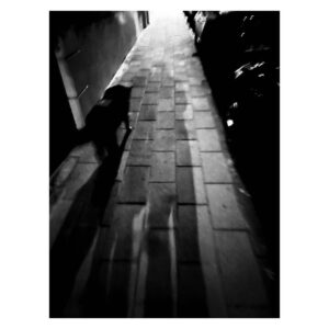 Birce Akalay Instagram - ______ i was walking by the sea, and i heard is calling me so I turned the good in me. 🫀