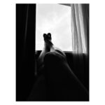 Birce Akalay Instagram - ________some selfies, tired legs faced with the sky & joyful sightseeing moments. The full moon was the icing on the cake. Lucky me! Auf Wiedersehen Cologne. Köln (Cologne), Germany