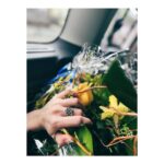 Birce Akalay Instagram - Germany again after a year... Again with a peace and joy as deep as my dream bluish sky. My heartfelt thanks to Fenerbahçe SK and my esteemed director Abdullah Oğuz. From now on, I will continue on the road alone with love at the bottom of my heart. I will be here for few more days. Cologne is a marvellous city. It is a great feeling to hear Turkish every few steps. Follow your dreams. 🫀 PS: Maybe we can shoot a short noir toghether someday master? @apooguz Köln (Cologne), Germany