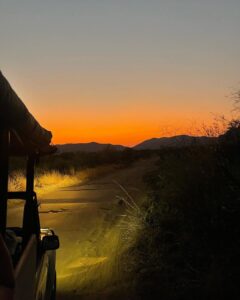 Blake Gray Instagram - unbelievable trip so far 🇿🇦 South Africa
