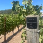 Blake Gray Instagram - last slide is my favorite Napa, California