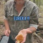 Blake Shelton Instagram - come morel mushroom hunting with us 🍄🍄