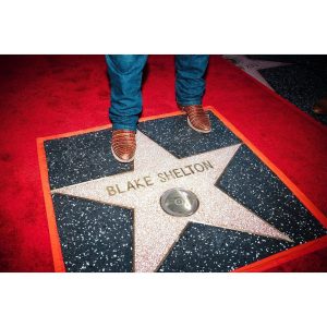 Blake Shelton Instagram - I dedicated this star to my brother Richie who I wish was here to celebrate this with. There are so many people to say thank you to for yesterday.. my family, my team, @nbc and @nbcthevoice, the fans.. it's really special to get to share this with you all. Cheers!!!