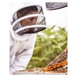 Blanca Suárez Instagram - Orgullosa de formar parte de la familia @Guerlain y compartir su compromiso de protección de las abejas. Hoy es el Día Mundial de las Abejas. Muchos tesoros y recursos naturales dependen de las 🐝 🐝 🐝 Comprometerse con su protección significa esforzarse por transmitir las maravillas de la Naturaleza a las generaciones futuras, salvaguardando su futuro. #GuerlainForBees #WorldBeeDay