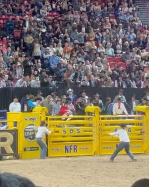 Booboo Stewart Instagram - Rodeo time 🤙🏽 massive thank you to @wrangler @heritagebrand & @fwv_us giving us an incredible @lasvegasnfr adventure,, thank you so much. Can’t wait to do it again