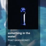 Booboo Stewart Instagram - Thee fellers + daily reminder to listen to “something in the water” @thatbandhoney