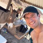 Brandon Calvillo Instagram - A couple of donkeys invaded our campsite lol
