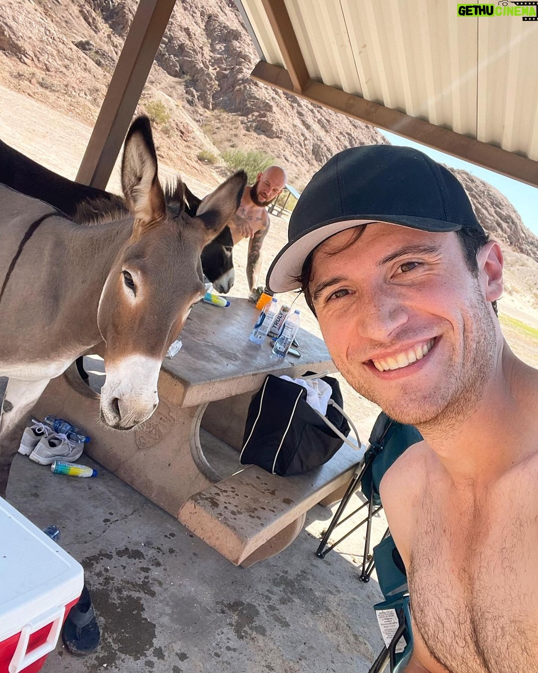 Brandon Calvillo Instagram - A couple of donkeys invaded our campsite lol