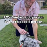 Brandon Calvillo Instagram - POV: You’re a dog person but not a people person (IB: @ian.brownhill )